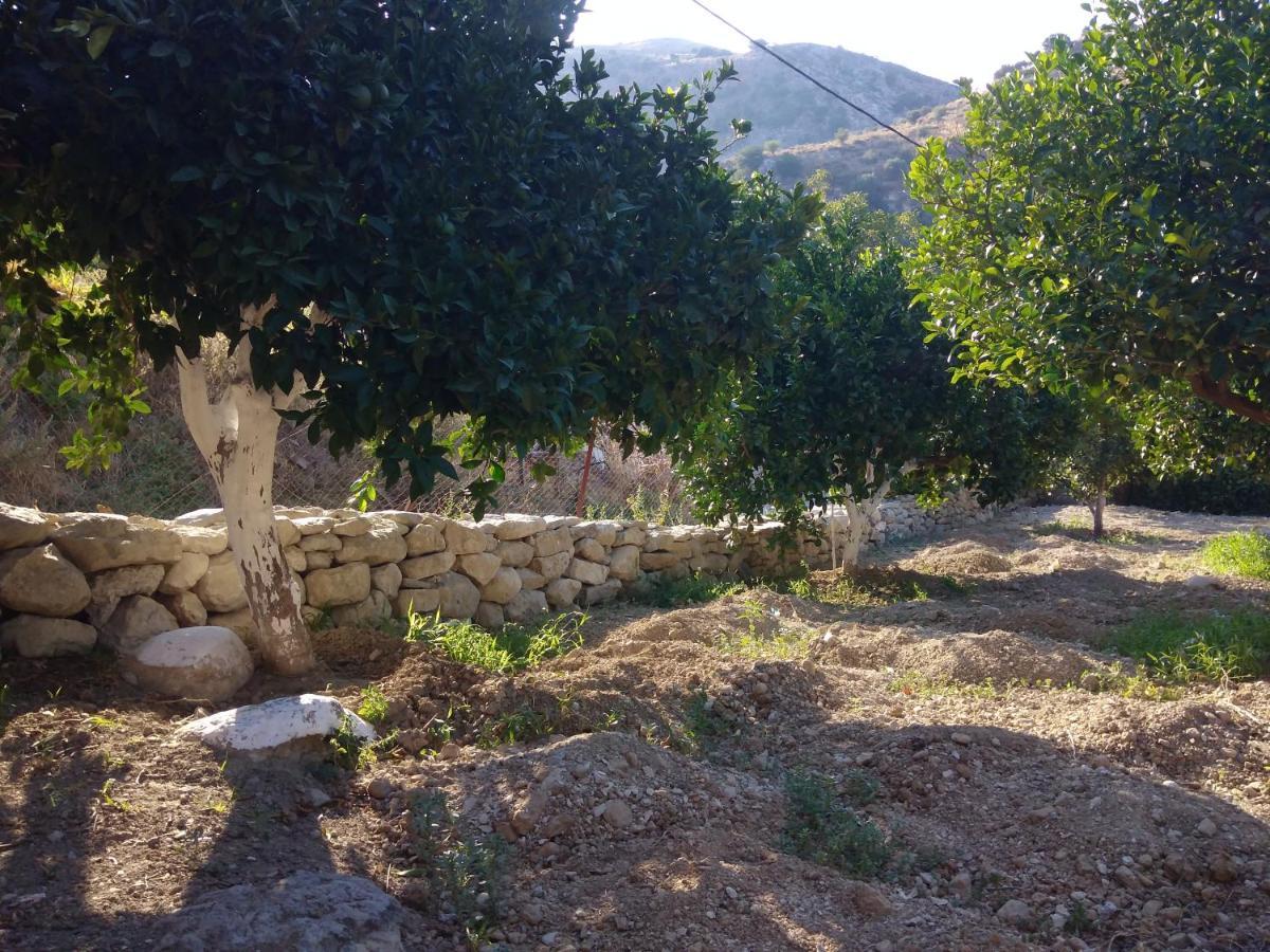 Aggelina Guest House Sárkhos Rom bilde